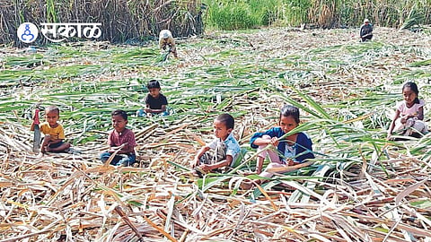 Sugarcane Workers Children