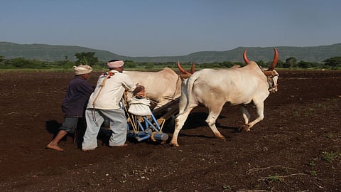 parbhani