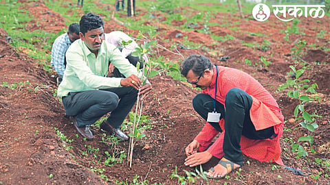 Merico office bearers, members while planting trees in drought affected areas of the district.