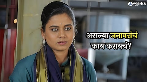 hemangi kavi angry on netizens vulgar comment on photo actress viral post on social media