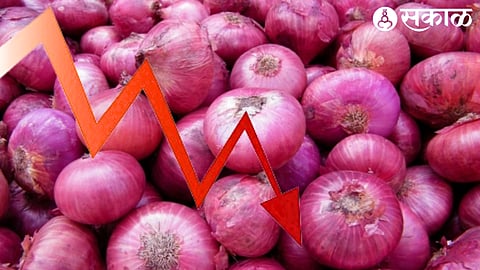 export ban onion price decreasing