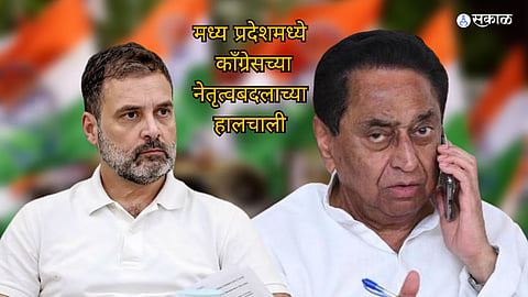 MP Politics