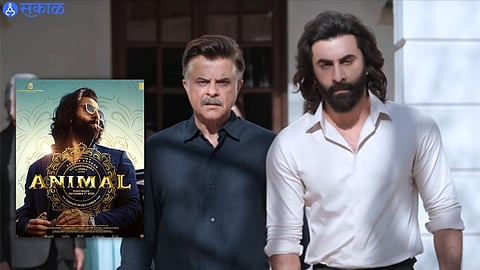 Animal Box Office Collection Day 5: