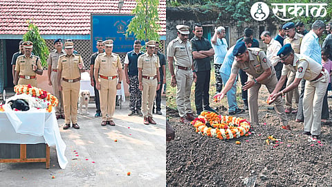 District Superintendent of Police M. the prince In the second photo, a police officer paying his last respects to Viru Shwana. In the last photograph, Viru is being cremated.