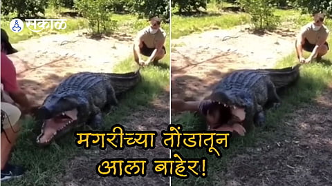 Viral Video