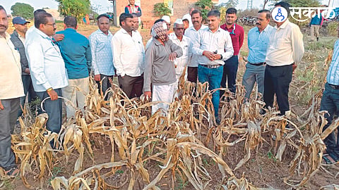 Officials of the central team inspecting the drought situation.