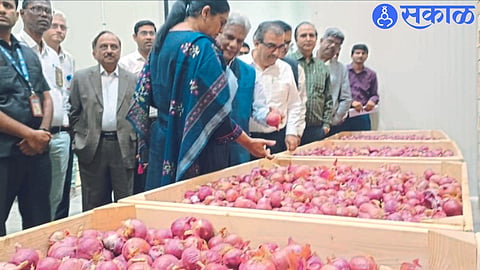 While inspecting the irradiated onion in Krishak Chairman of Atomic Energy Commission Dr. Ajit Kumar Mohanty, Joint Secretary of Anuja Center Sushma Shete, Director of Bhama Nuclear Research Center Vivek Bhasin, Dr. Satyendra Gautam.
