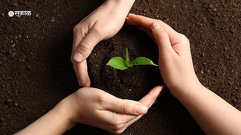 world soil day
