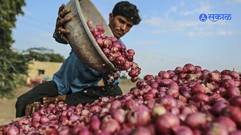 onion news