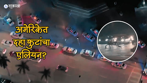 Miami Alien Fact Check