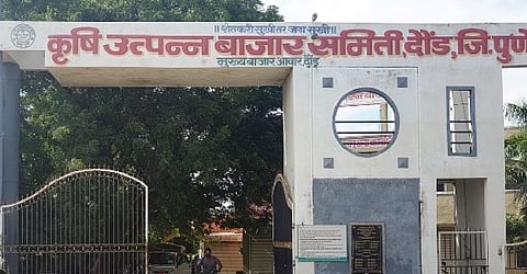 daund bajar samiti