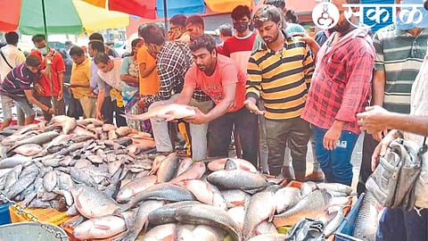 Shop full of fish.