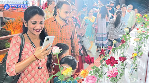 NMC Flower Festival