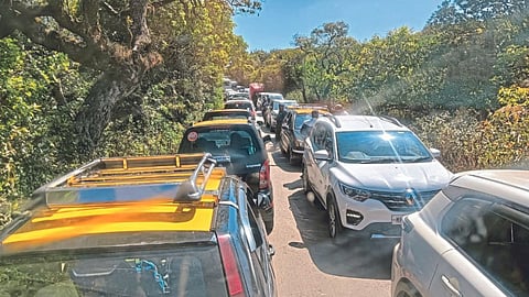 Mahabaleshwar Tourism