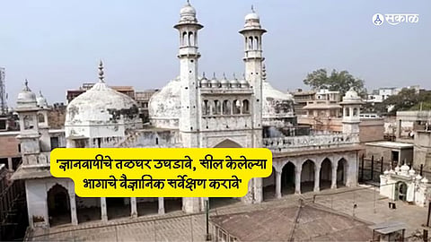 Gyanvapi survey
