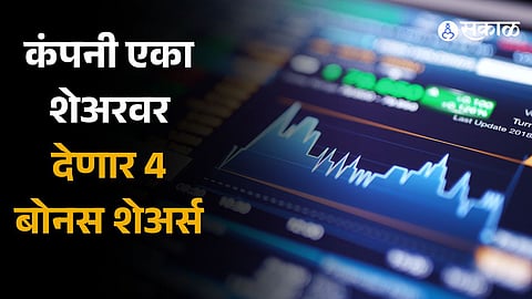 Salasar Techno Engineering gives 4 bonus shares performance details