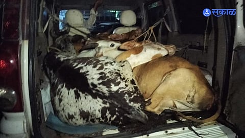 Palghar Crime