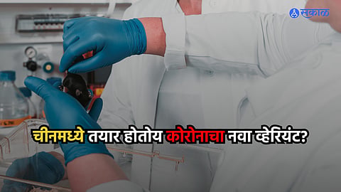 China New Virus