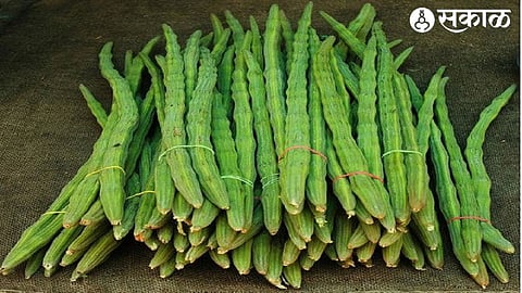 Shevga