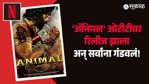 animal movie on ott netflix netizens slam netflix and animal movie team ranbir kapoor