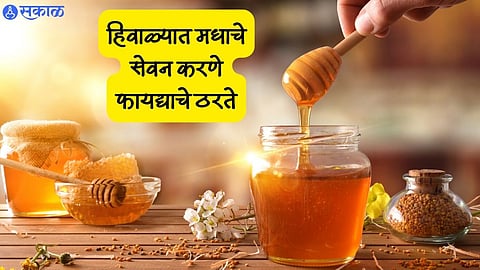 Benefits Of Honey In Winter : …म्हणून हिवाळ्यात मधाचे सेवन करणे फायद्याचे ठरते!