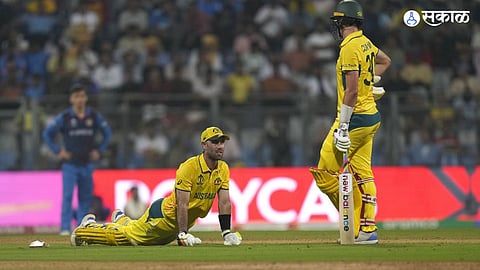 Glenn Maxwell News Marathi