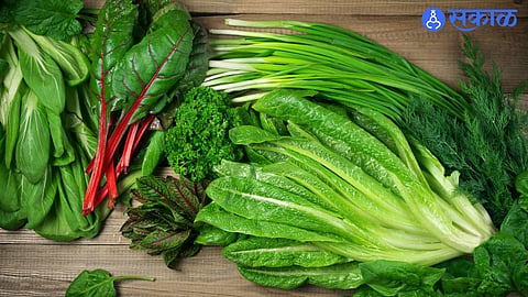 Kitchen Hacks : हिवाळ्यात हिरव्या पालेभाज्या खराब होण्याचे टेन्शन सोडा; ताज्या ठेवण्यासाठी ‘या’ टिप्स फॉलो करा