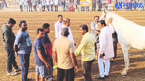 While buying a horse, the producer of 'Tollywood' K. S. Ravikumar. Neighbor Jaipal Singh Rawal.