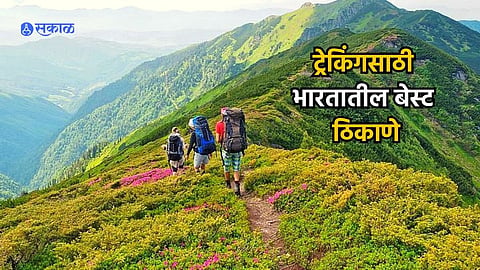 Travel Diaries