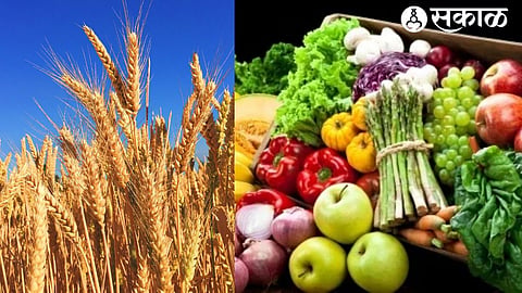 26 Foodgrains in State Seed Sub Committee Meeting nashik news