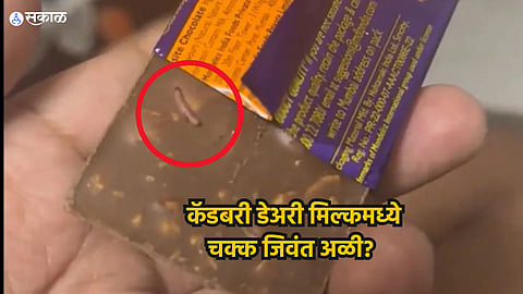 Worm In Dairy Milk