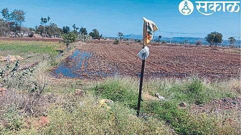 Lakhs of liters of water were wasted from a burst water channel in Shivara near Thakar Vasti coming from Manikpunj Dam to the city.