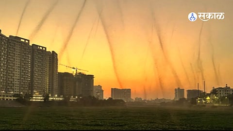 Mosquito tornadoes