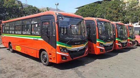 TMT Bus