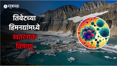 Tibet Glacier Virus