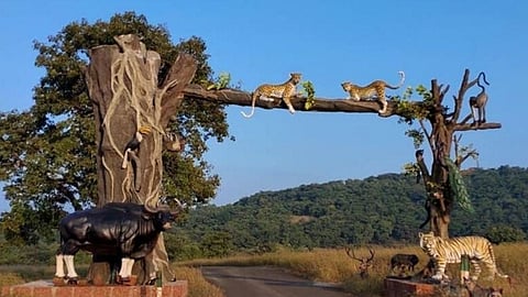Chandoli Tourism