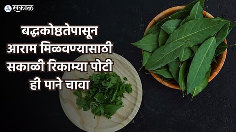 Health Care News : बद्धकोष्ठतेपासून आराम मिळवण्यासाठी सकाळी रिकाम्या पोटी ही पाने चावा, लवकरच मिळेल आराम