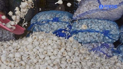 garlic Mumbai News