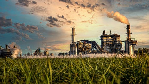 Sugar Factories