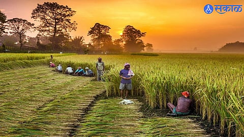nanded