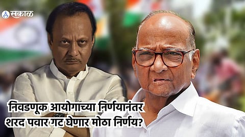 NCP Party and Symbol
