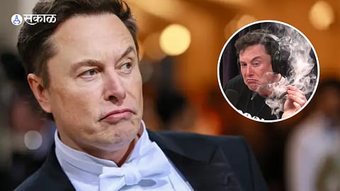 Musk on Drugs