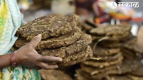 Cow dung govrya