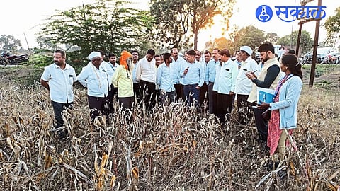 Central team inspecting harvested crops in the field.