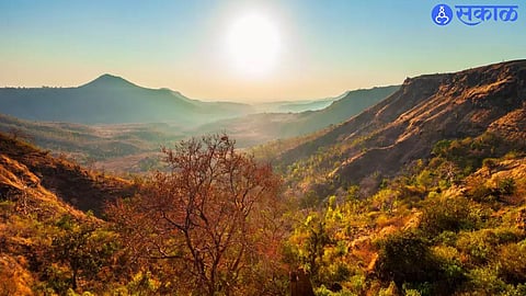satpura Jungle (file photo)