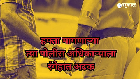 Rahuri News