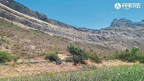 Desolate forest at the base of Saptshringi Fort