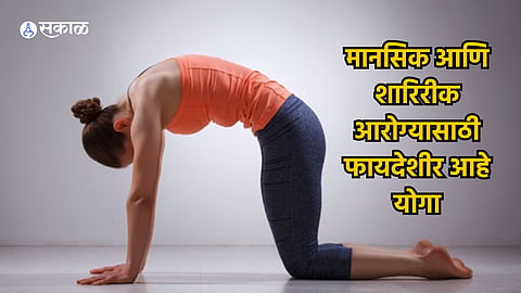 Yoga Tips