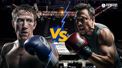 Elon Musk Cage Fight