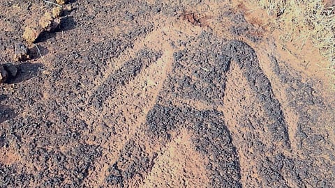 Katal Shilp Konkan